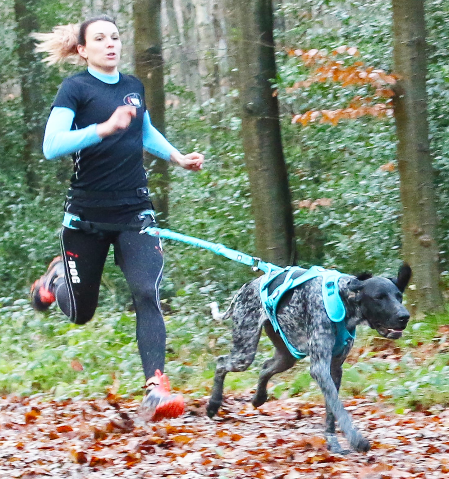 I-Dog ALM Opale CC