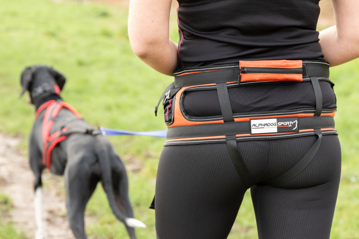 Alphadogsport Speed Ultra