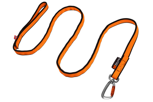 Bungee Leash 2.0