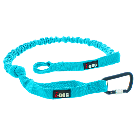 I-Dog ALM Opale CC