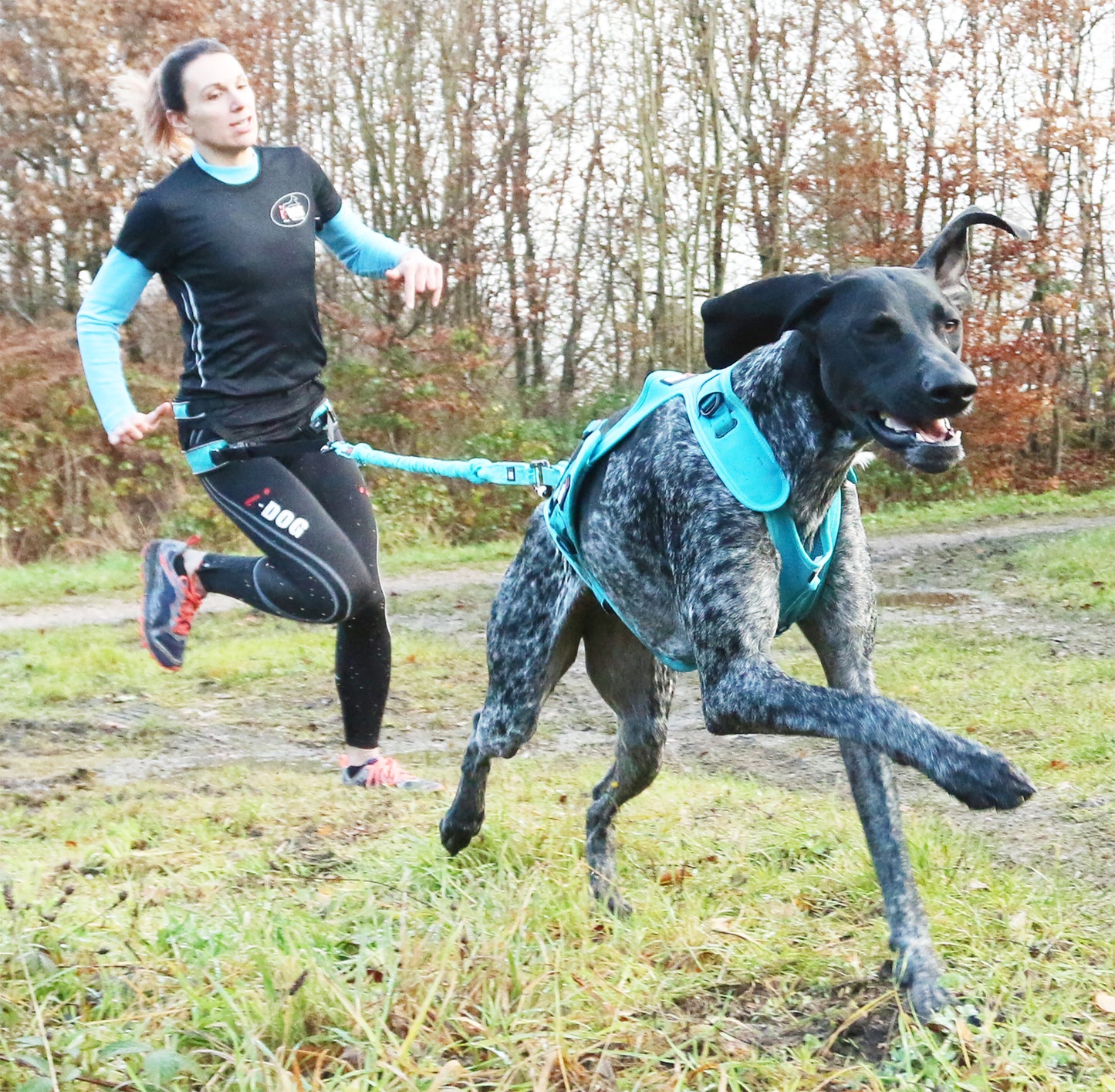 I-DOG Hüftgurt ALM Canyon