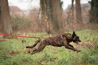 Alphadogsport X-Back ALPHA RACER