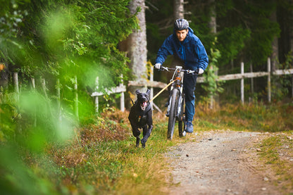 Bike Antenne Klickfix