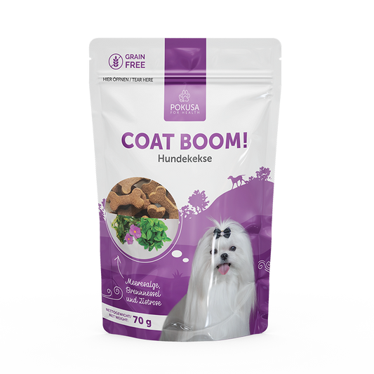 Hundekekse- Coat Boom!