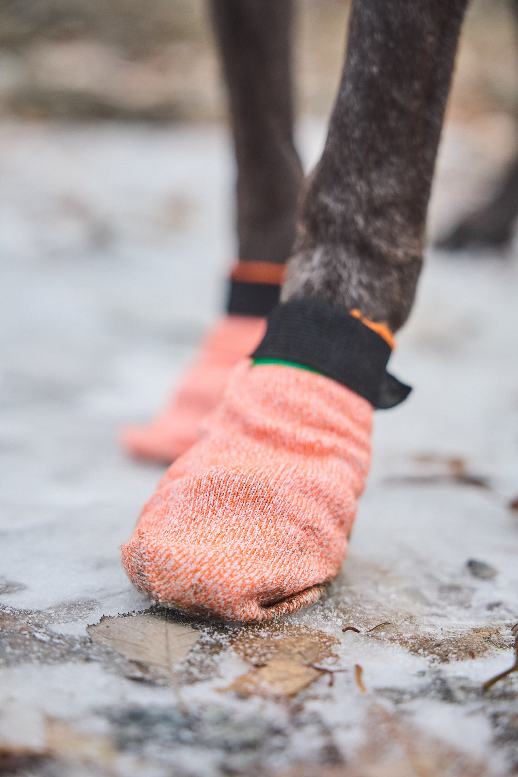 Booties light socks